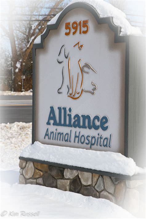 Alliance animal hospital - Sharon Crabtree recommends Alliance Animal Hospital. I love this animal hospital. The technicians and doctors are so easy to work with. I have taken my dog snowball to doctor mineo for 13 years. He really does not mind going there as he is treated really great. Compared to cost from other veterinarians in this area they are very reasonable. 